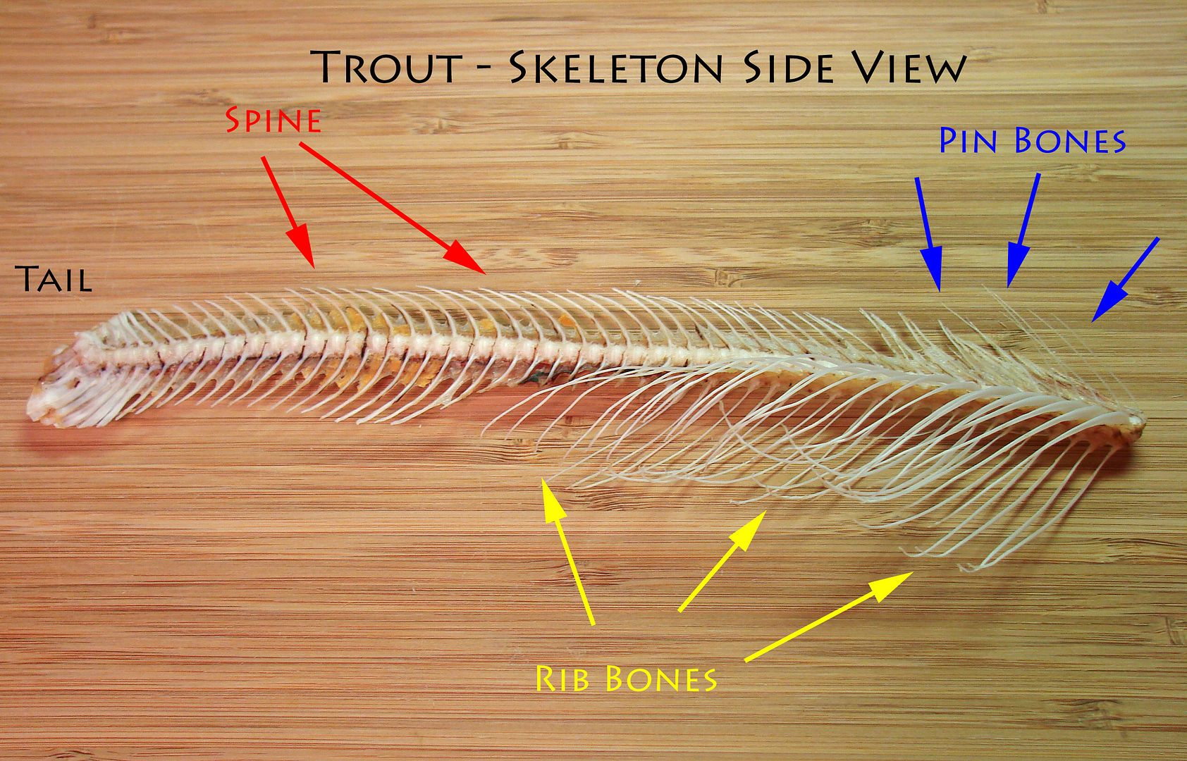How to smoke trout? — Big Green Egg Forum